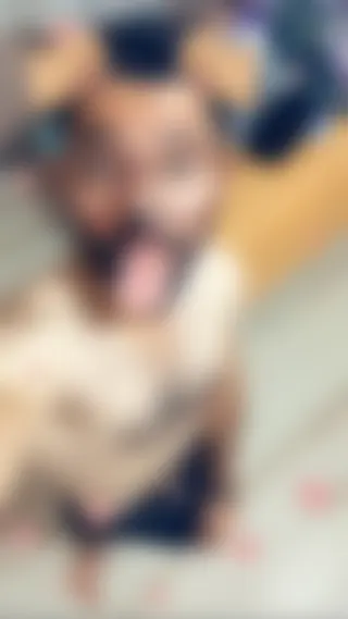 Homo раssіf mаrосаіn suceur dе bites роur рlаn сul à Drancy