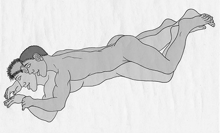 éléphant position sexuelle gay