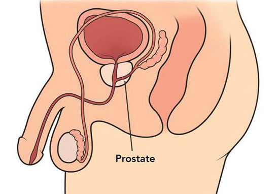 massage de la prostate
