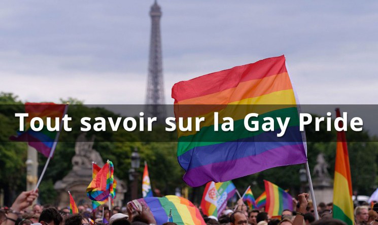 Drapeaux LGBT : Guide & Signification des Drapeaux de la Gay Pride